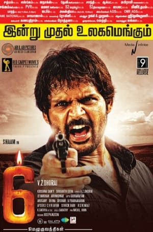 6 Candles (2013) Hindi Dubbed [950MB]