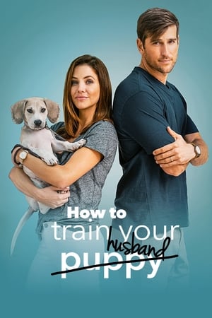 How to Train Your Husband 2018 Hindi Dual Audio [1GB]