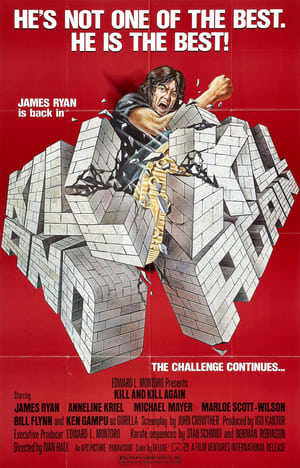 Kill and Kill Again (1981) Hindi Dual Audio 330MB