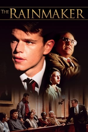 The Rainmaker (1997) Hindi Dual Audio [1.1GB]